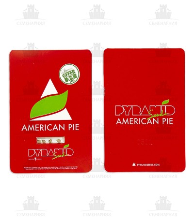 American Pie American Pie — изображение 4