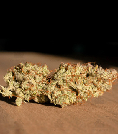 Auto Banana Blaze fem Auto Banana Blaze fem — изображение 4