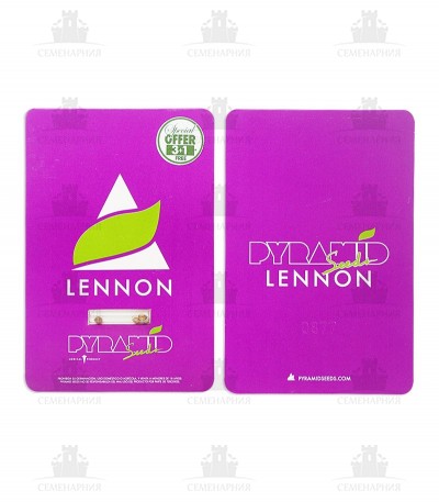 Lennon fem (Pyramid Seeds) Lennon fem (Pyramid Seeds) — изображение 3