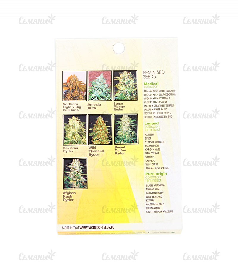 Семена сорта LSD-25 auto (FastBuds) Семена сорта LSD-25 auto (FastBuds) — изображение 3