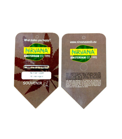 Сорт Northern Lights regular (Nirvana Seeds) Сорт Northern Lights regular (Nirvana Seeds) — изображение 2