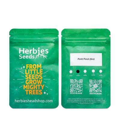 Runtz Punch fem (Herbies Seeds) Runtz Punch fem (Herbies Seeds) — изображение 3