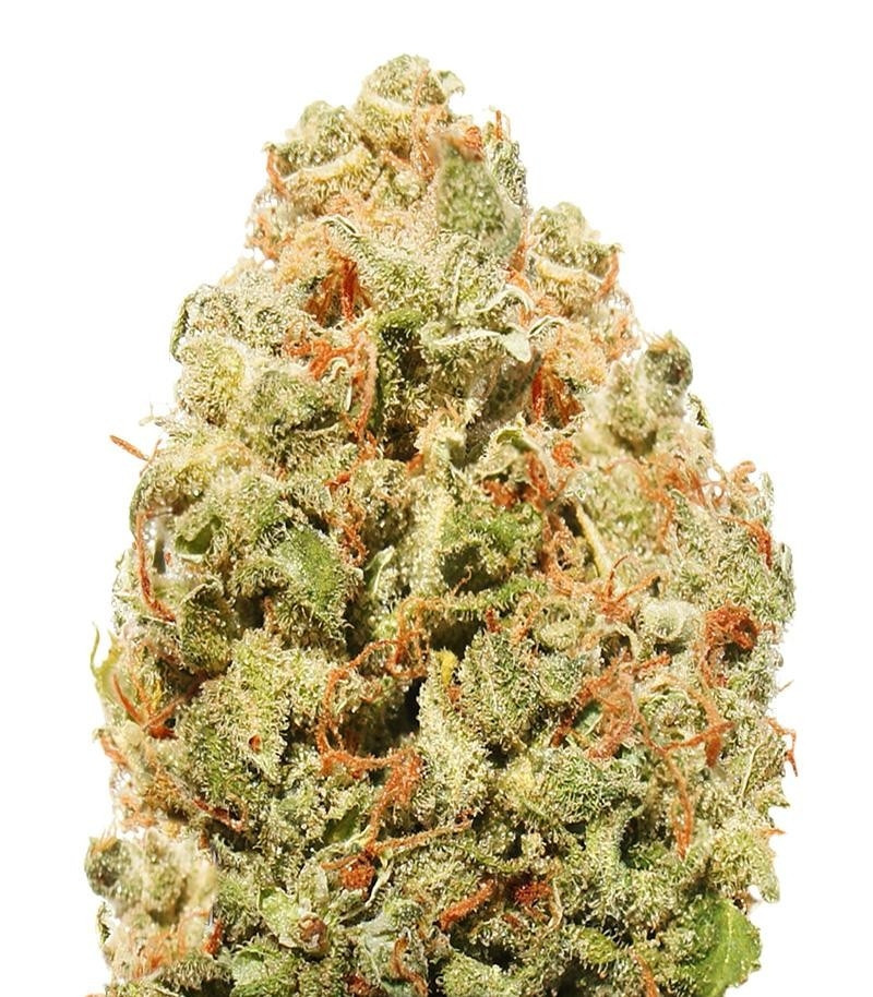 Strawberry Cake fem (Heavyweight Seeds) Strawberry Cake fem (Heavyweight Seeds)