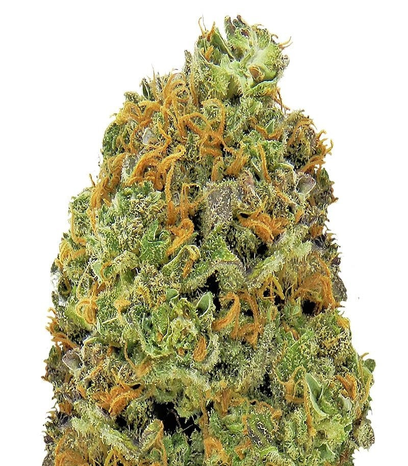Wipeout Express auto (Heavyweight Seeds) семена конопли Wipeout Express auto (Heavyweight Seeds) семена конопли