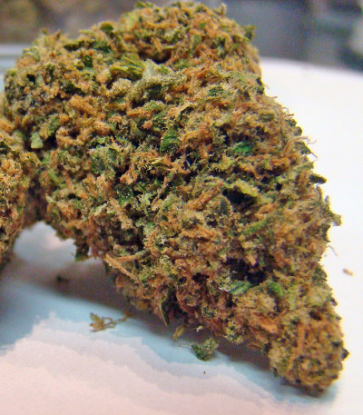 Сорт Lemon Skunk fem (GHS) Сорт Lemon Skunk fem (GHS) — изображение 5