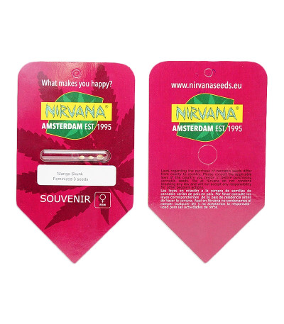 Сорт Somango XXL (Mango Skunk) fem (Nirvana Seeds) Сорт Somango XXL (Mango Skunk) fem (Nirvana Seeds) — изображение 2