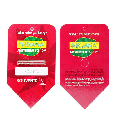 Сорт Sterling Haze fem (Nirvana Seeds) Сорт Sterling Haze fem (Nirvana Seeds) — изображение 2