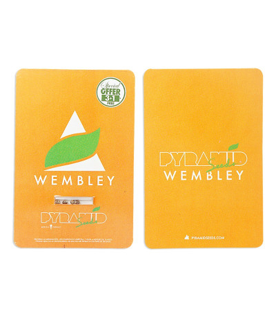 Сорт Wembley fem (Pyramid Seeds) Сорт Wembley fem (Pyramid Seeds) — изображение 2