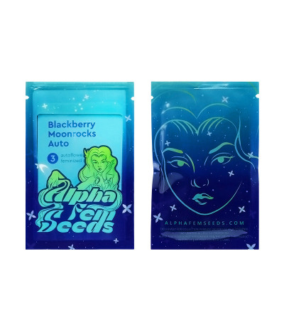 Сорт Blackberry Moonrocks Auto fem (AlphaFem Seeds) Сорт Blackberry Moonrocks Auto fem (AlphaFem Seeds) — изображение 2
