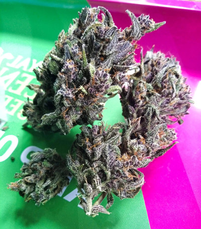 Сорт Blackberry auto fem (FastBuds) Сорт Blackberry auto fem (FastBuds) — изображение 3