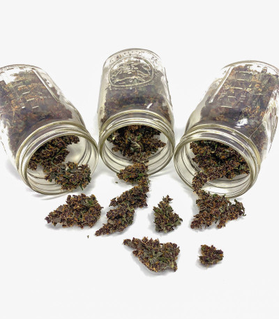 Сорт Blackberry auto fem (FastBuds) Сорт Blackberry auto fem (FastBuds) — изображение 4