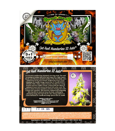 Сорт Jet Fuel Mandarine XL Auto fem (Sweet Seeds) Сорт Jet Fuel Mandarine XL Auto fem (Sweet Seeds) — изображение 2