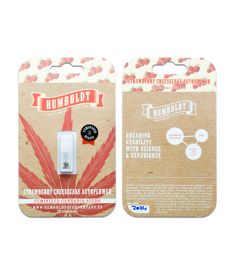 Сорт Strawberry Cheesecake Auto fem (Humboldt Seed Company) Сорт Strawberry Cheesecake Auto fem (Humboldt Seed Company) — изображение 2