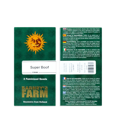 Сорт Super Boof fem (Barney's Farm) Сорт Super Boof fem (Barney's Farm) — изображение 2