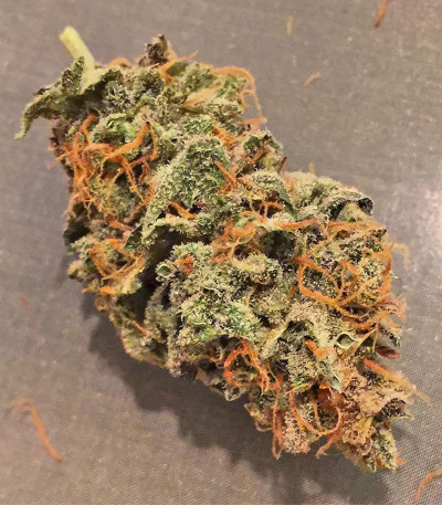 Сорт Californian Snow Auto fem (FastBuds) Сорт Californian Snow Auto fem (FastBuds) — изображение 3