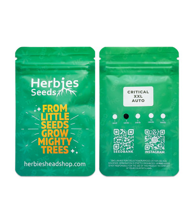 Сорт Critical XXL Auto fem (Herbies Seeds) Сорт Critical XXL Auto fem (Herbies Seeds) — изображение 3