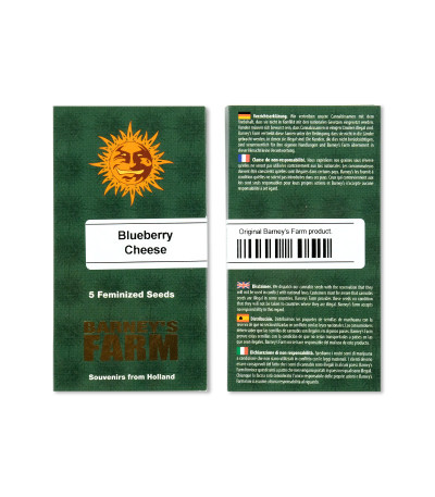 Сорт Blueberry Cheese (Blue Cheese) fem (Barney's Farm) Сорт Blueberry Cheese (Blue Cheese) fem (Barney's Farm) — изображение 2
