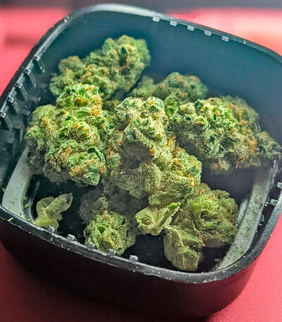 Сорт Garlic Cookies fem (Barney's Farm) Сорт Garlic Cookies fem (Barney's Farm) — изображение 8
